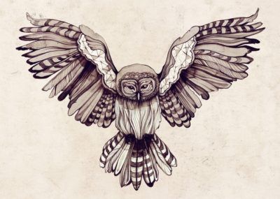 эскизы тату сова с крыльями
