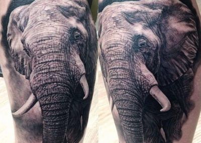 Слон. Значение татуировки