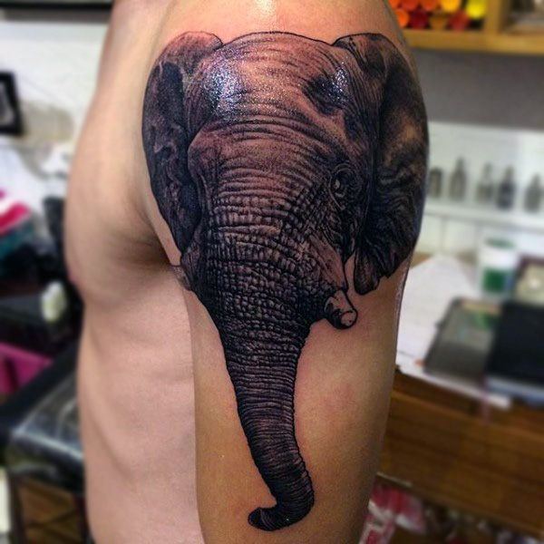 Боевой слон Татуировка