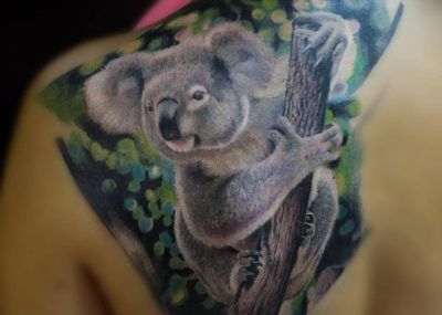 тату коала на плече