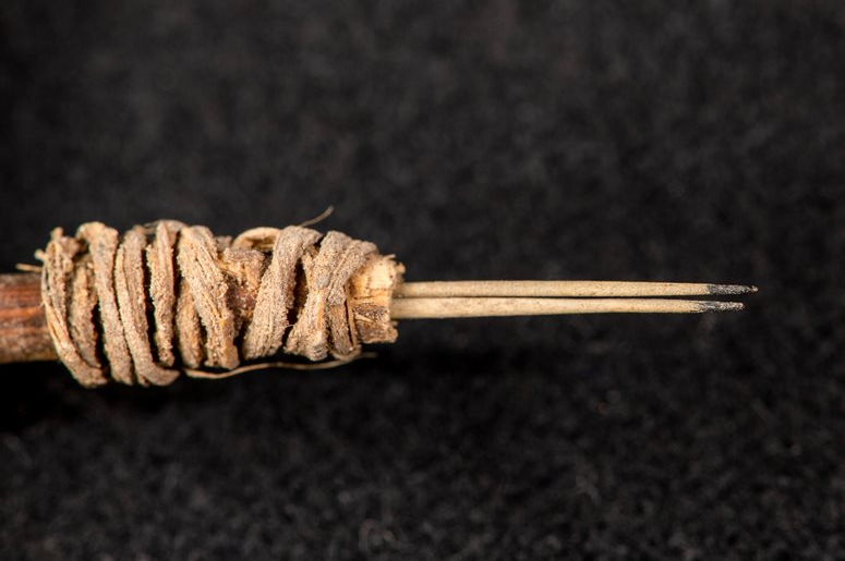 Был найден самый древний инструмент для татуировки