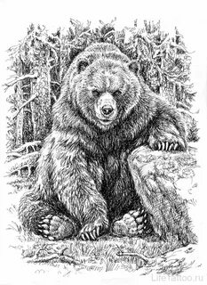 Эскиз тату Медведь