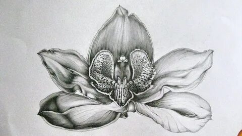 Эскиз тату Орхидея